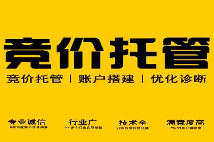 竞价推广中的数据监控与分析：某行业头部企业的成功经验